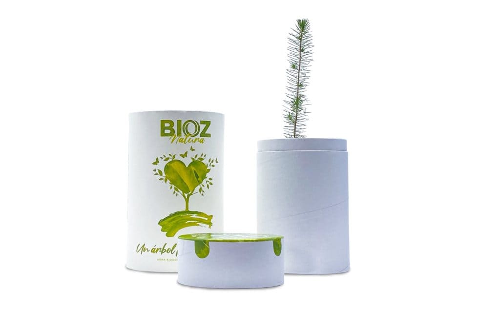 Urna para cenizas Bioz árbol biodegradable