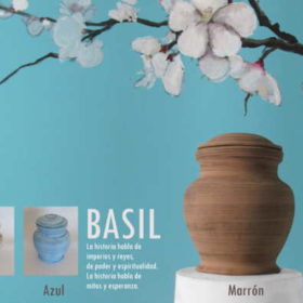 Urna funeraria biodegradable basil