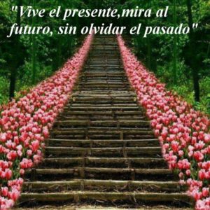 vive el presente, mira al futuro, sin olvidar el pasado.